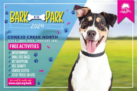 A Bark In The Park Betfair