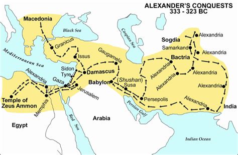 Alexander S Conquest Review 2024