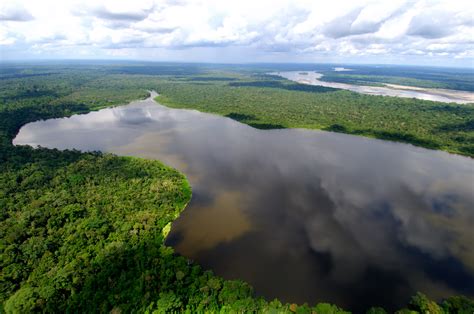 Amazonia Betano