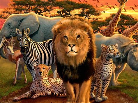 Animals Of Africa Betsson