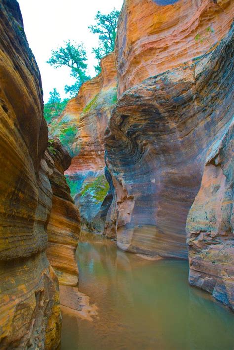 Australiano Slot Canyons