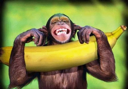 Banana De Macaco Slots