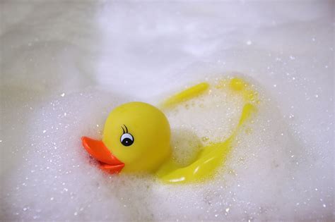 Bath The Duck Betfair