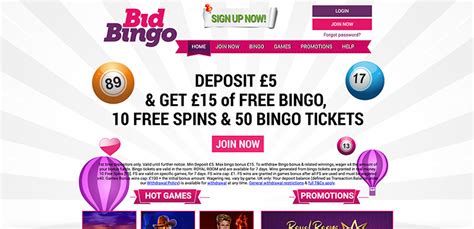 Bid Bingo Casino Apostas