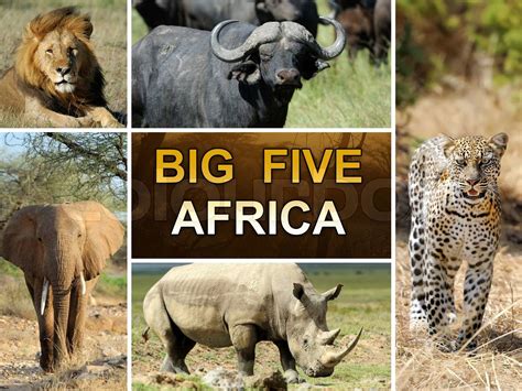 Big 5 Africa Betsson