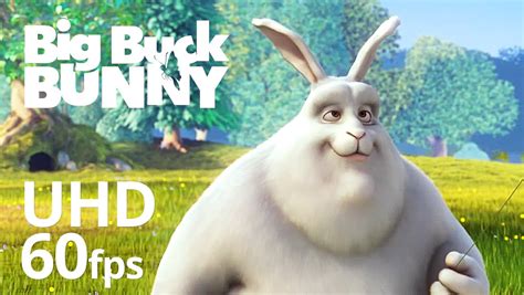 Big Buck Bunny Review 2024