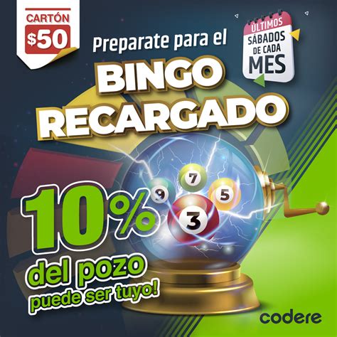 Bingo Com Casino Argentina