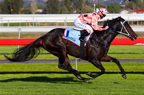 Black Horse Sportingbet