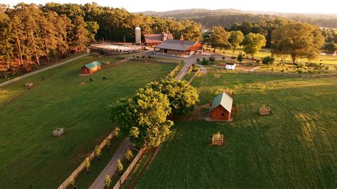 Blackjack Ridge Farm Tn