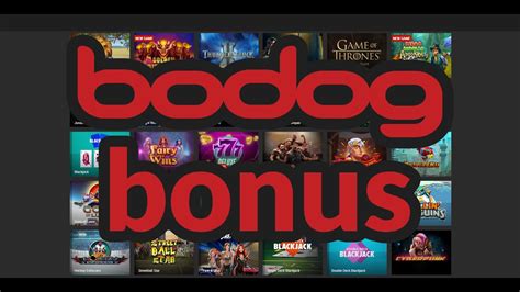 Bodog Casino Belize