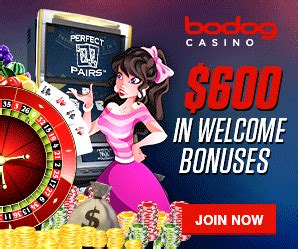 Bodog Player Contests Casino S Violation