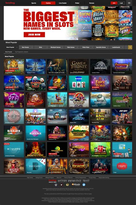 Bodog Players Access To Casino Website