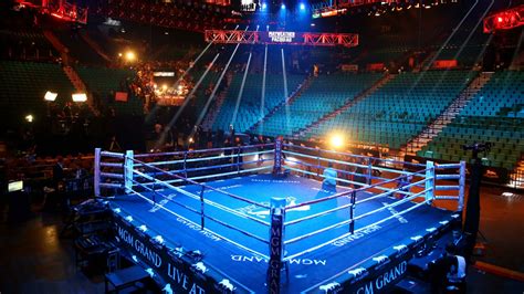Boxing Arena Bodog