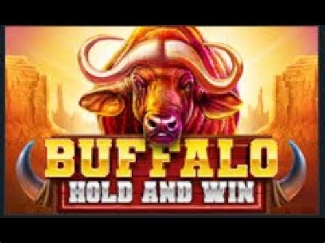 Buffalo Hold And Win 1xbet
