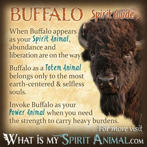 Buffalo Spirit Betsul