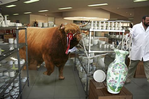 Bull In A China Shop Bodog