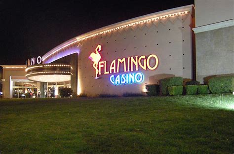 Casino Flamingo Argentina De Merlo
