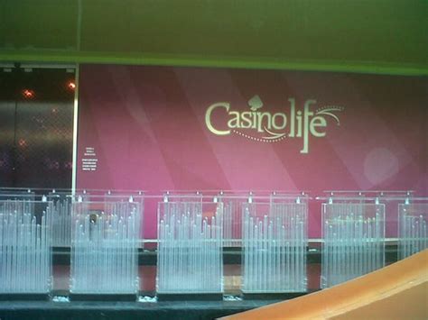 Casino Vida Insurgentes Vacantes