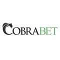 Cobrabet Poker