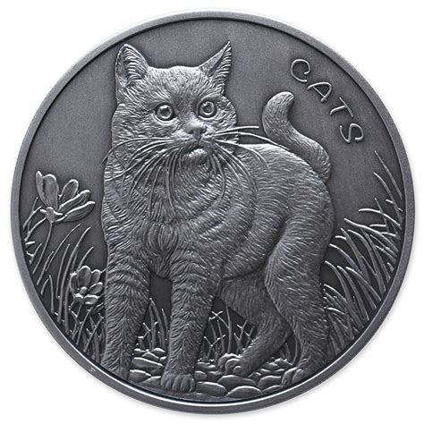 Coin Cat Betsul