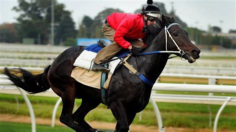 Dark Reels Sportingbet