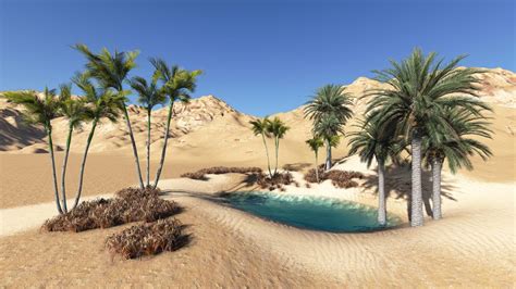 Desert Oasis Betway