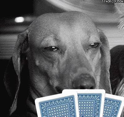 Engracado Casino