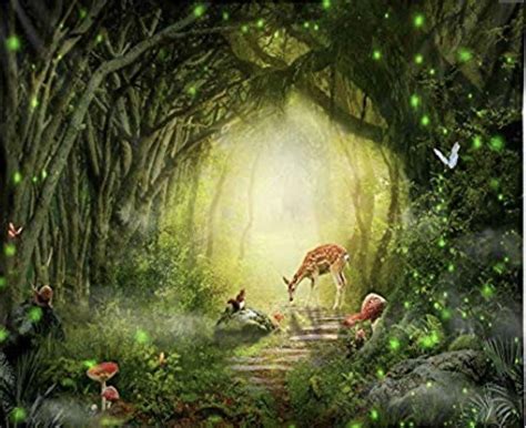 Fairy Forest Tale Review 2024