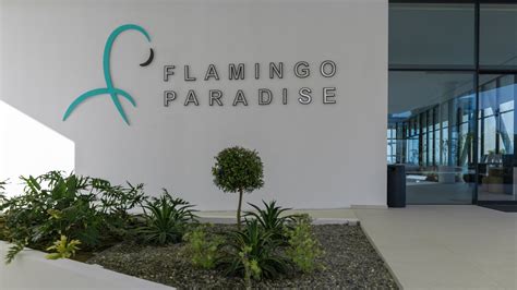 Flamingo Paradise Betsson