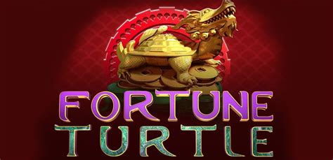Fortune Turtle Review 2024