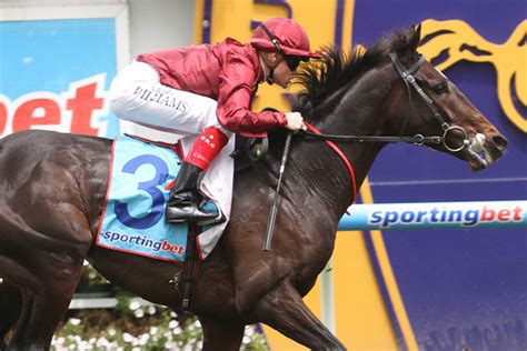 Golden Caravan Sportingbet