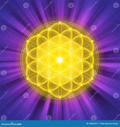 Golden Flower Of Life Betsul