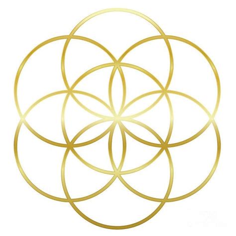 Golden Flower Of Life Review 2024