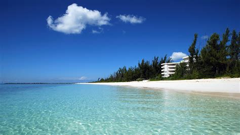 Grand Bahama Beach &Amp; Casino Resort Comentarios