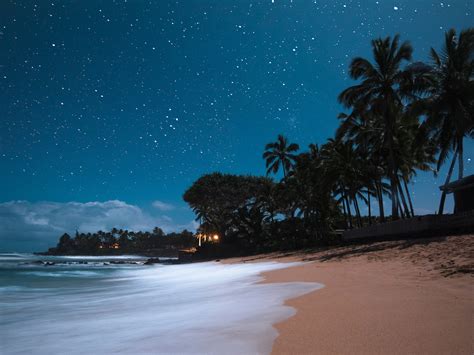 Hawaiian Night Leovegas