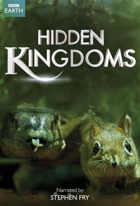 Hidden Kingdom Bet365