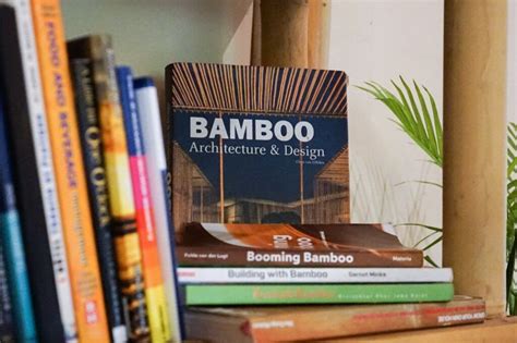 Jogue Book Of Bamboo Online
