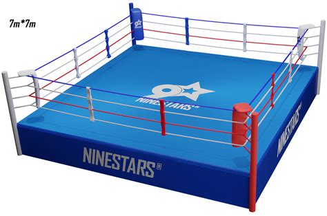 Jogue Boxing Ring Champions Online