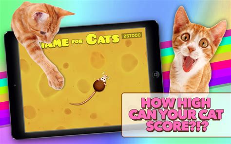 Jogue Cats Online