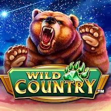 Jogue Wild Country Online