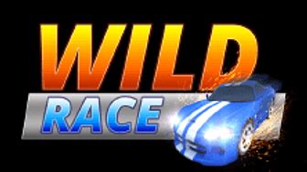 Jogue Wild Racer Online