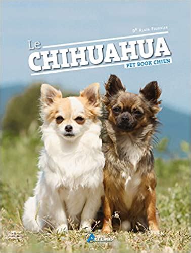 Livre Chihuahua Slots
