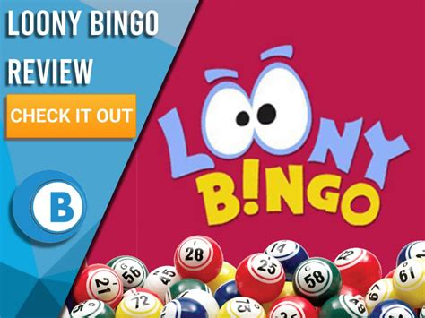Loony Bingo Casino Online