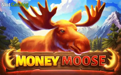 Money Moose Review 2024