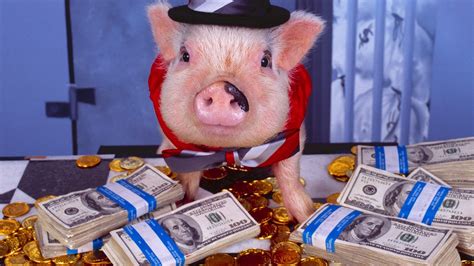 Money Pig Bodog