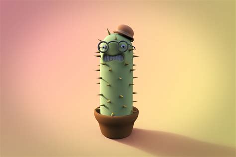 Mr Cactus Brabet