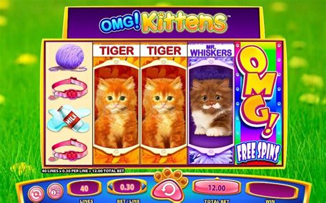 Omg Kittens 888 Casino