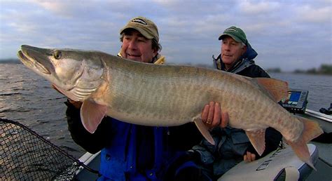 Ontario Canada Pesca Slot Limites