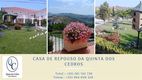 Os Cedros De Cassino De Casa De Repouso