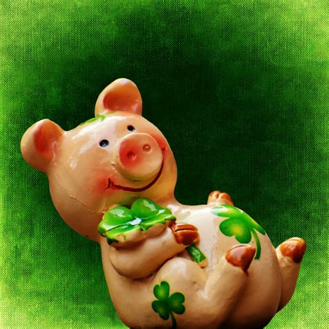 Pig Of Luck Betfair